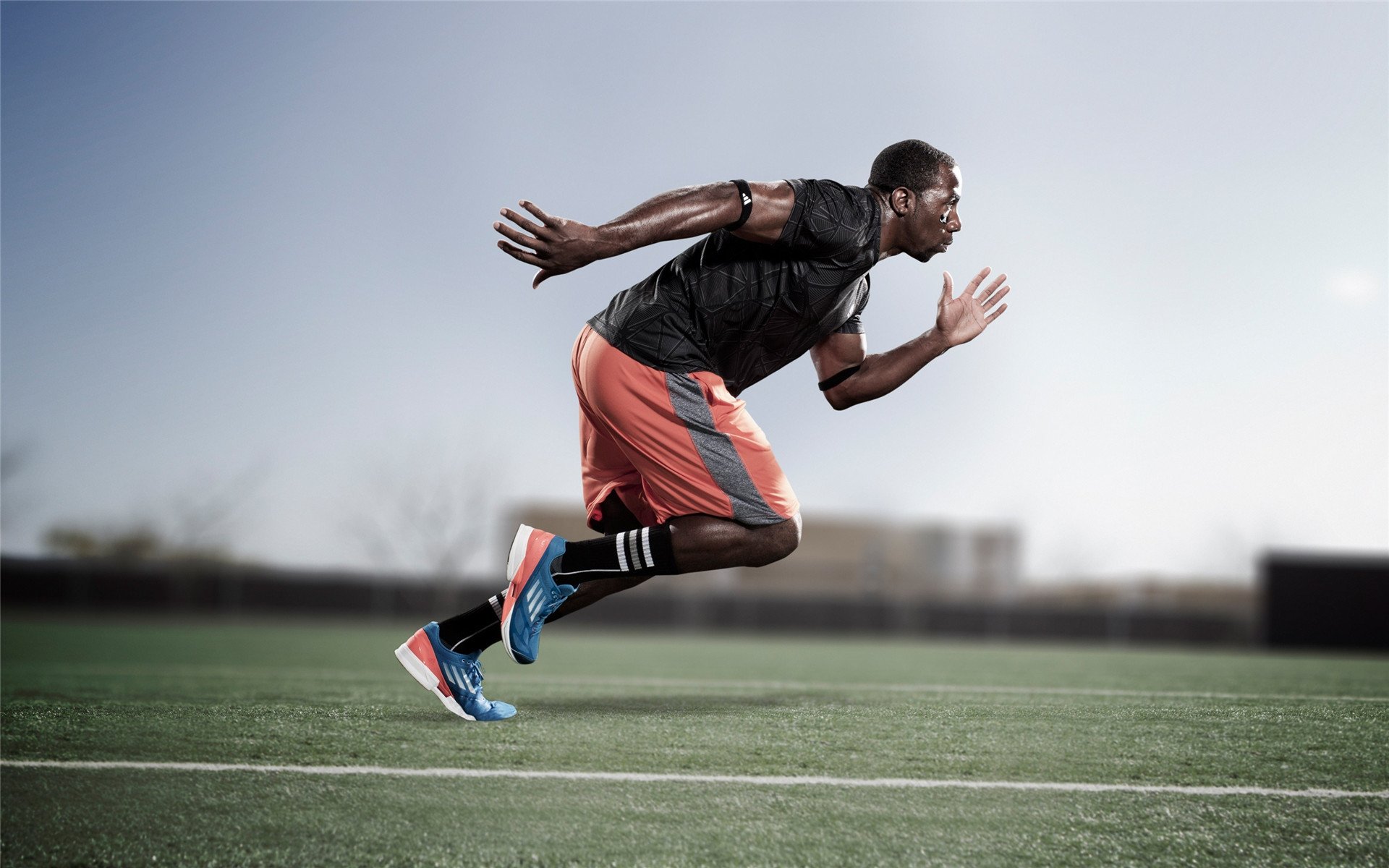 开云体育2026-灰熊的逆袭与霍勒迪的加冕,跨越篮球世界的决胜者之歌 第2张 开云体育2026-灰熊的逆袭与霍勒迪的加冕,跨越篮球世界的决胜者之歌 第2张